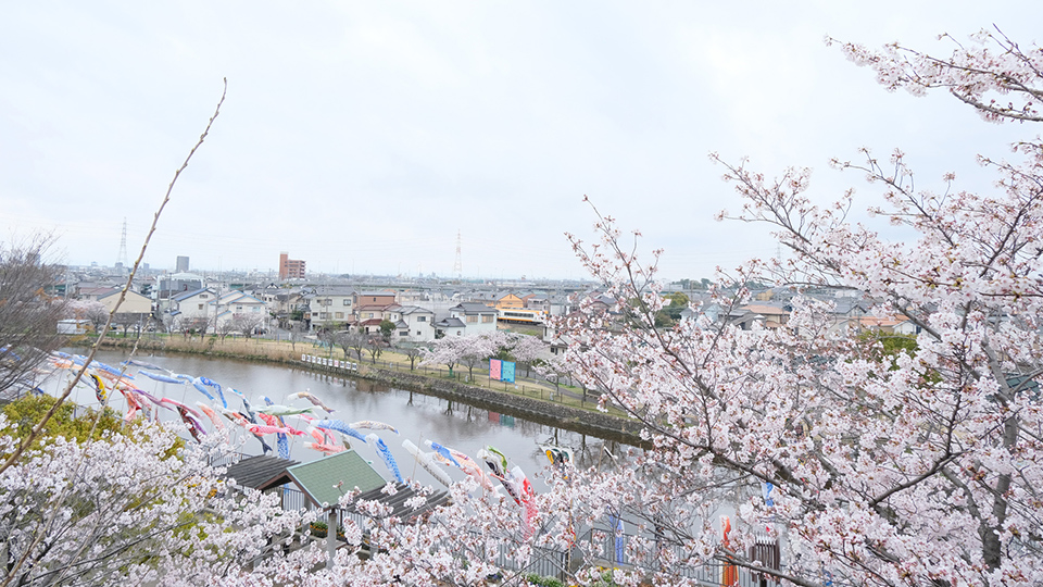 地域密着の誠実な対応